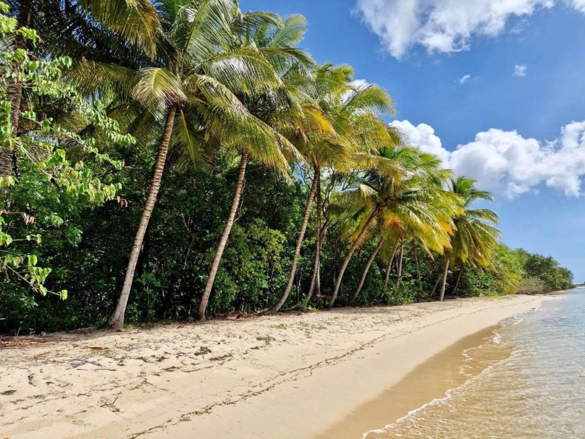 فندق Manbana 333 Folle Anse المظهر الخارجي الصورة